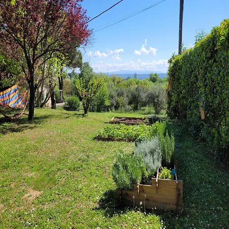 La Treille Avec Piscine